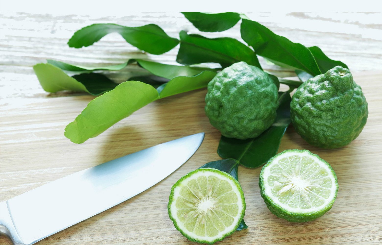 Kaffir Lime Tree Hirt's Gardens