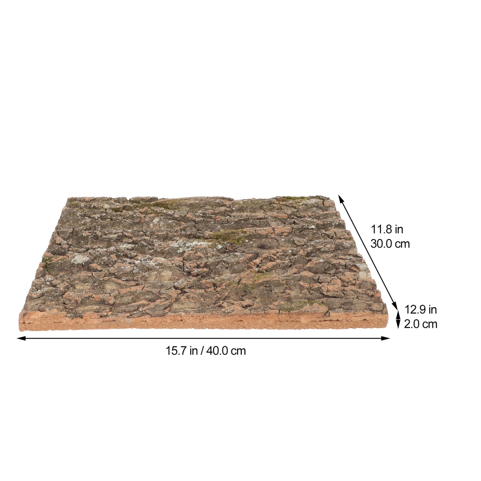 Kisangel 2 Piezas Fondo De Corcho Natural para Terrario Decoración De Hábitat para Camaleones Lagartos y Tortugas Accesorios De Corcho para Reptiles Fondo De para Recinto De Reptiles