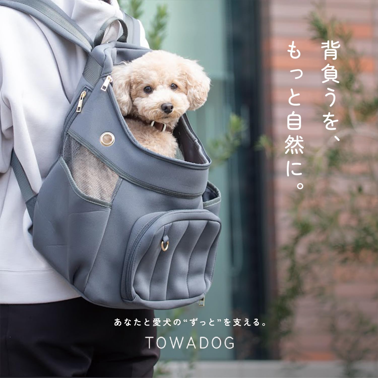 Amazon.co.jp: TOWADOG ペットキャリー 犬 リュック バックパック 小型