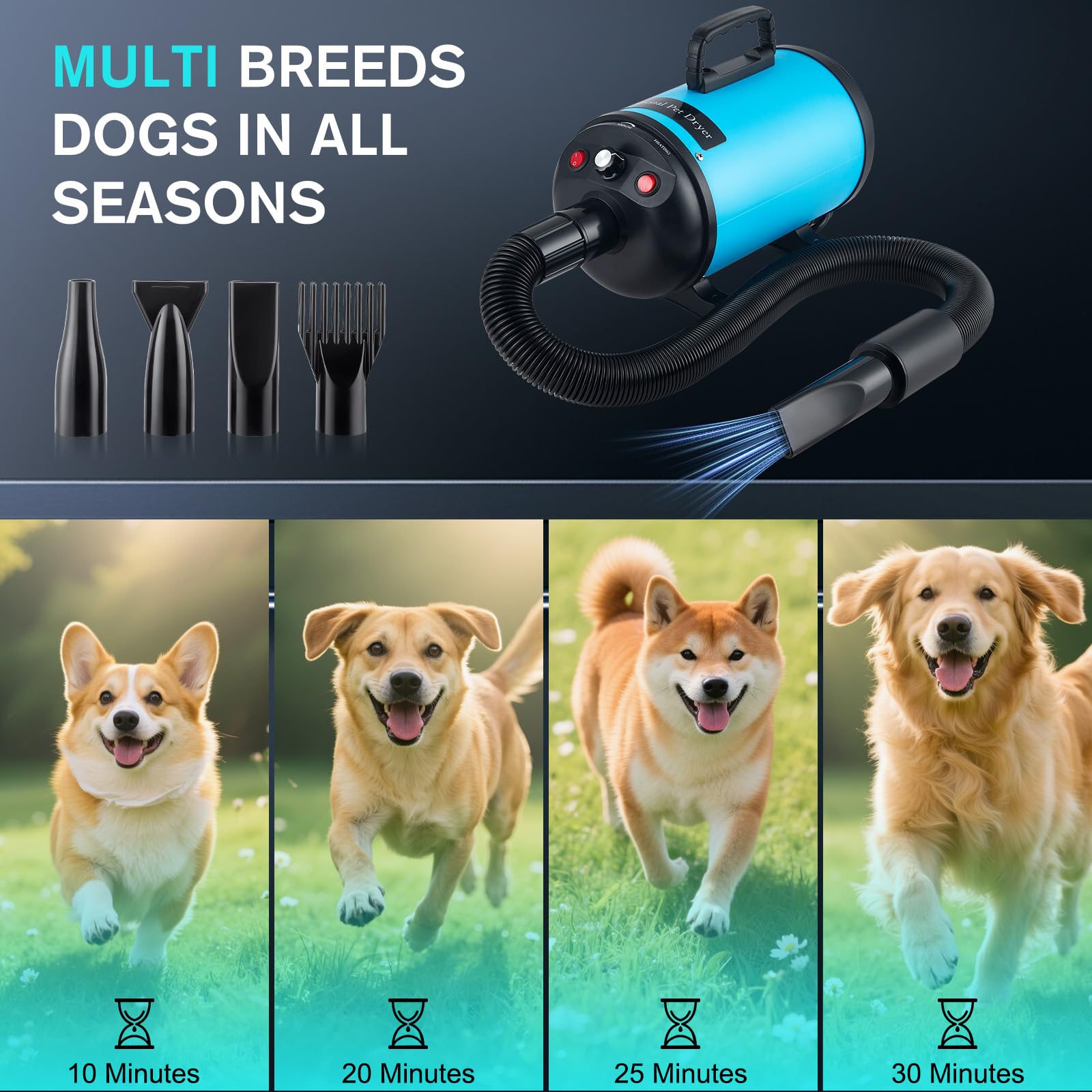 Asciugacapelli per cani, asciugacapelli per cani, 3800 W/4,5 CV, asciugacapelli professionale per la cura del pelo, regolazione continua della velocità, a basso rumore, con 4 diversi ugelli, tubo