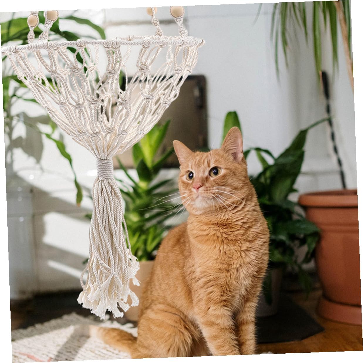 Totority Bohemian Woven Cat Hammock Bed Sturdy Hanging Cat Nest 40cm for 20-30lb Indoor Pet Supply