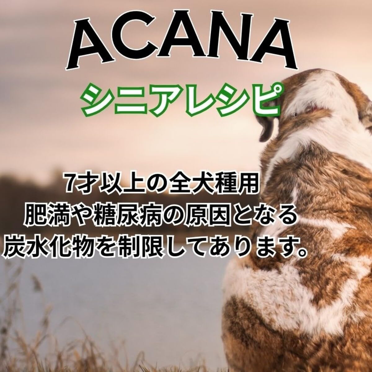 アカナシニアレシピ11.4kg Amazon.co.jp: アカナ シニア レシピ 全犬種 シニア犬用 11.4kg