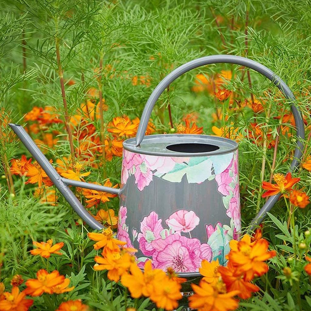 Lange Uitloop Gieter voor Tuin Gazon Huis Binnen en Buiten Metalen Gieter voor Plant Bloem 2000ml Gieter