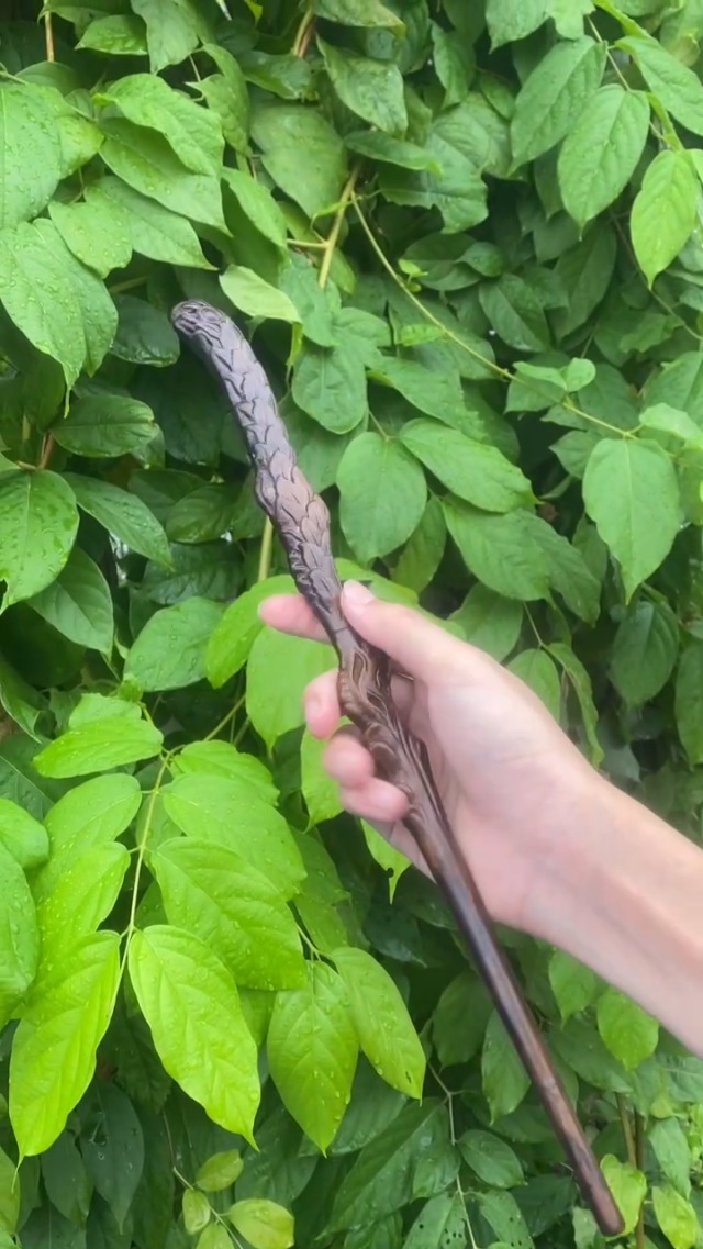 Amazon.com: Handicraftviet Phoenix's Tail Wand, Hand – Carved