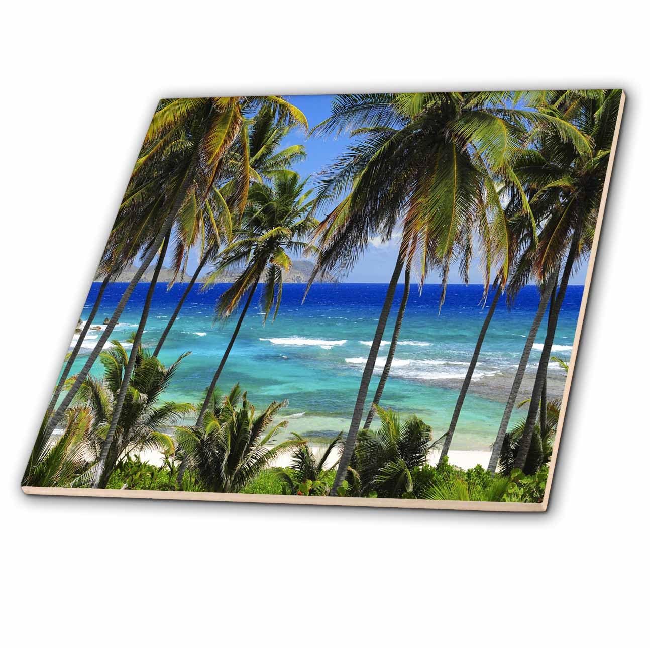 3dRose ct_173296_4 Tropical Day Scene with Swaying Palm Trees & Glimpses of Blue Ocean Ceramic Tile, 12