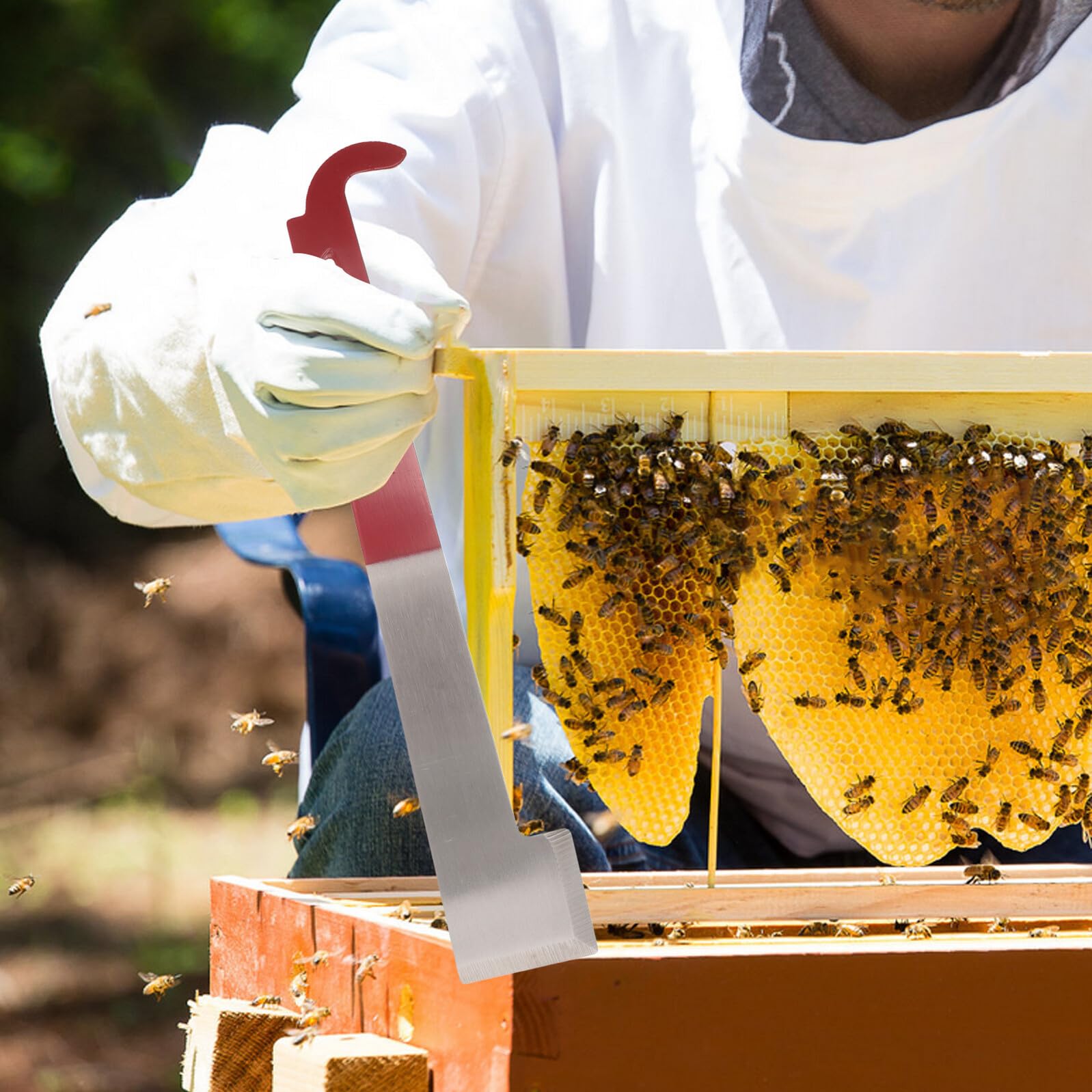 TOYANDONA 5 Stück Imkerwerkzeug aus Langlebigem Stahl mit Rahmenheber Entdeckelungsgabel und Honigschaber für Schonende Bienenstockpflege und Effiziente Bienenzucht
