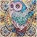 5D DIY Diamantmaler-Set Malen nach Zahlen Diamant 5D Diamond Painting Set Full Bilder Diamond Painting Kits für Erwachsene und Kinder 5D Diamant Malerei Kit Diamant Malerei Zubehör 30*30cm Eulenmuster