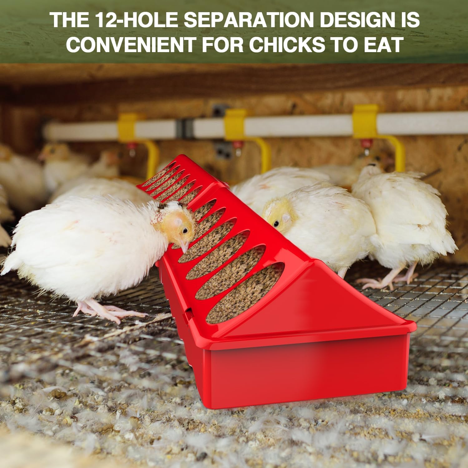 All-in-One Chick Brooder Kit with 75W Adjustable Heat Lamp, Spill-Proof Feeder & Waterer, and Rust-Proof Perch Stand for 5–15 Chicks