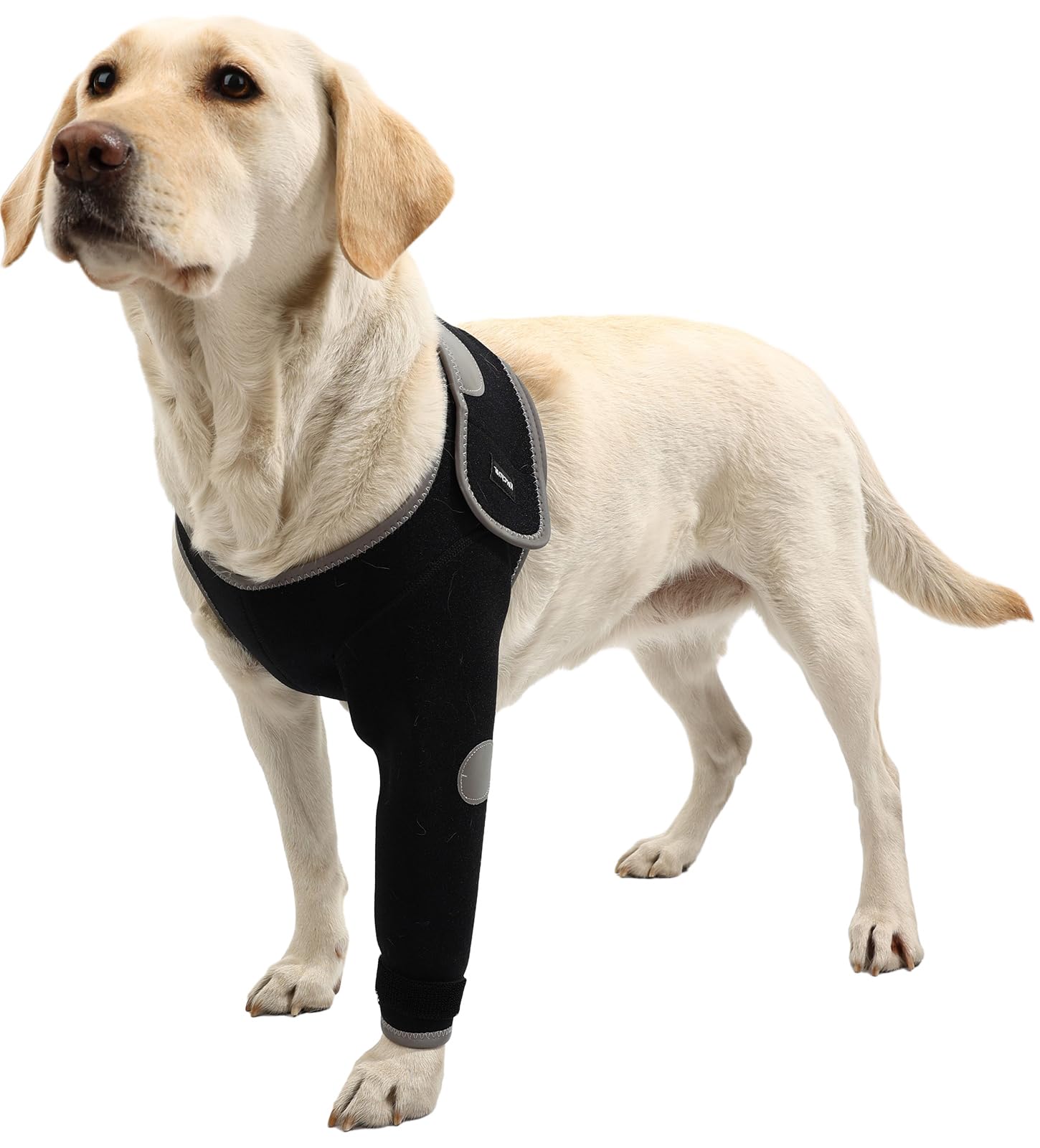 Photo 1 of Size M Kercynar Dog Recovery Sleeves, Cone Collar Alternative, Reflective Material Design Abrasion Resistant Dog Recovery Suit, Washable 3mm Thick and Waterproof, Pets Sleeve Anti Licking Wounds and Keep Dry