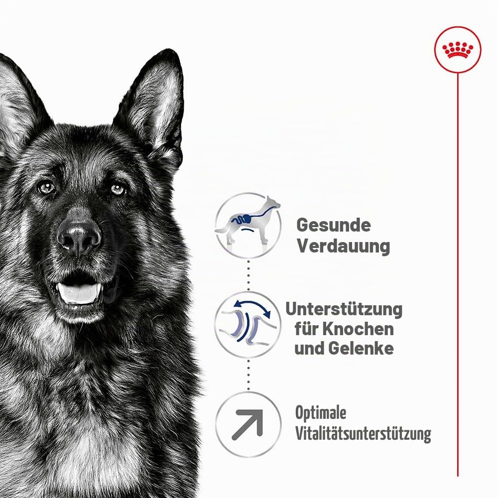 Royal Canin Maxi Adult, 5+, 15 kg, 1er Pack (1 x 15 kg Packung), Hundefutter