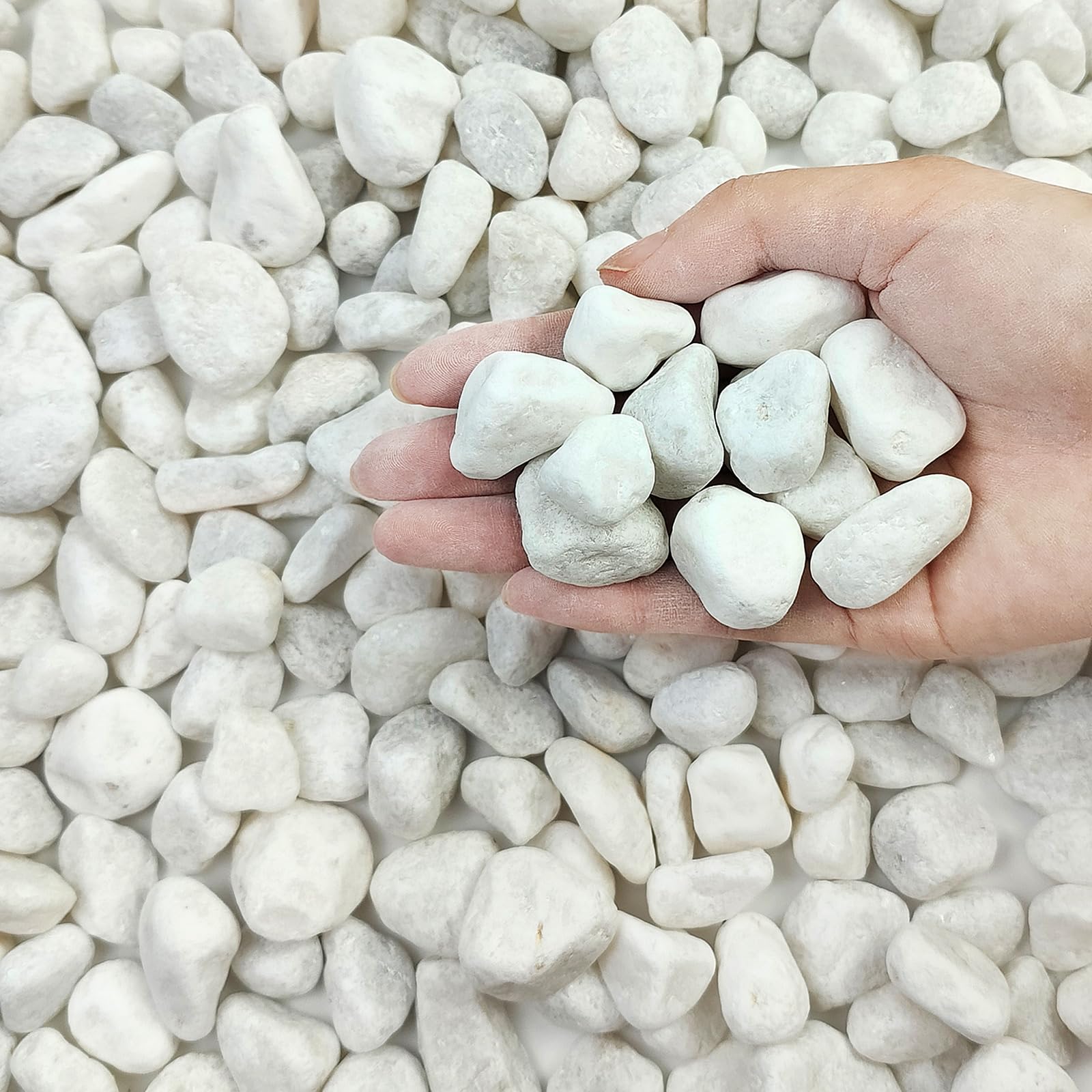 FANTIAN 9,1 kg weiße Flussfelsen für Landschaftsbau, 1,3-2,5 cm Kieselsteine für Zimmerpflanzen, Dekosteine für Sukkulenten, Kakteen, Vasen, Aquarien, Basteln und Garten