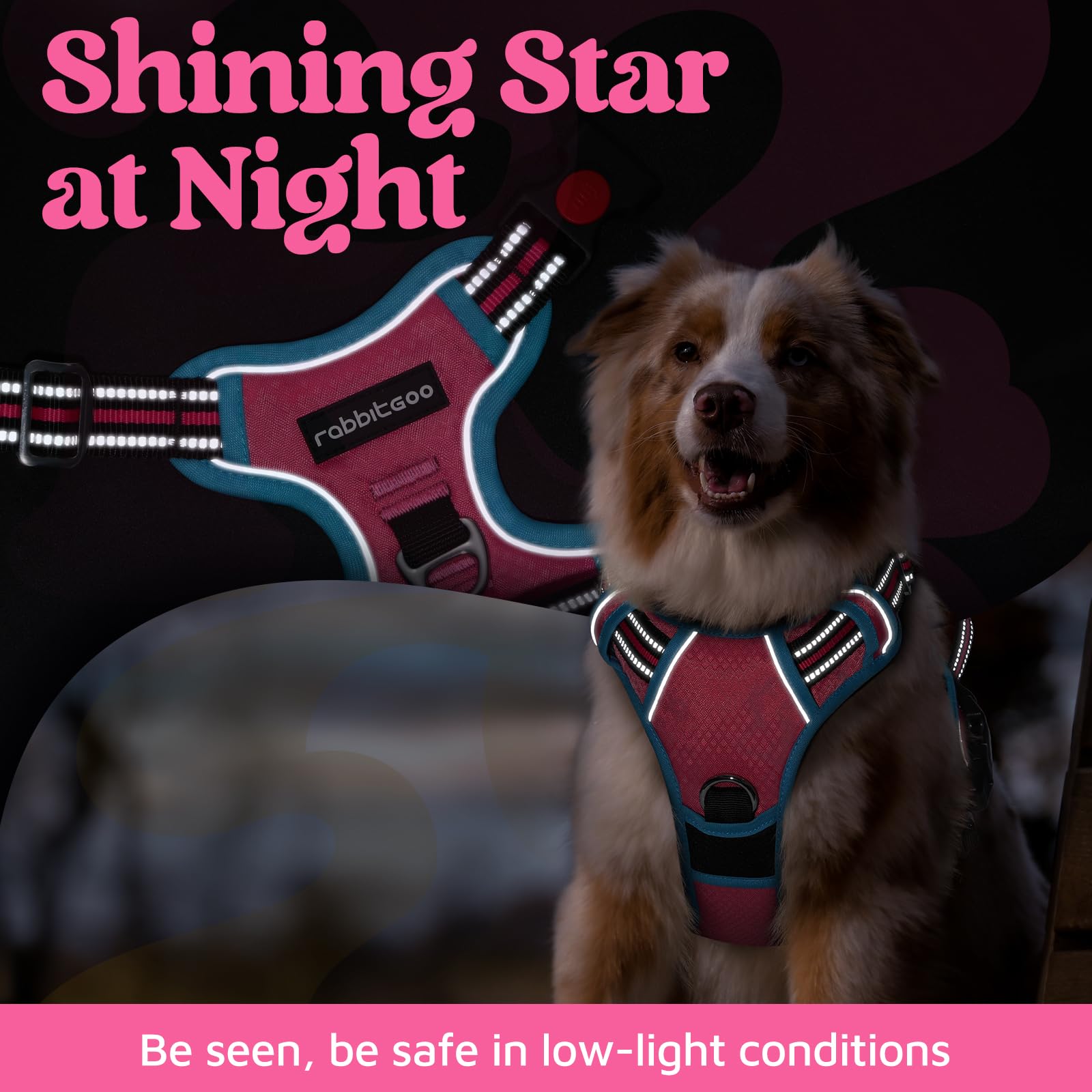 rabbitgoo Harnais pour chien de petite taille, gilet anti-traction pour chien avec 3 boucles, harnais rembourré doux réglable avec poignée de contrôle facile et bandes réfléchissantes, rose et bleu,