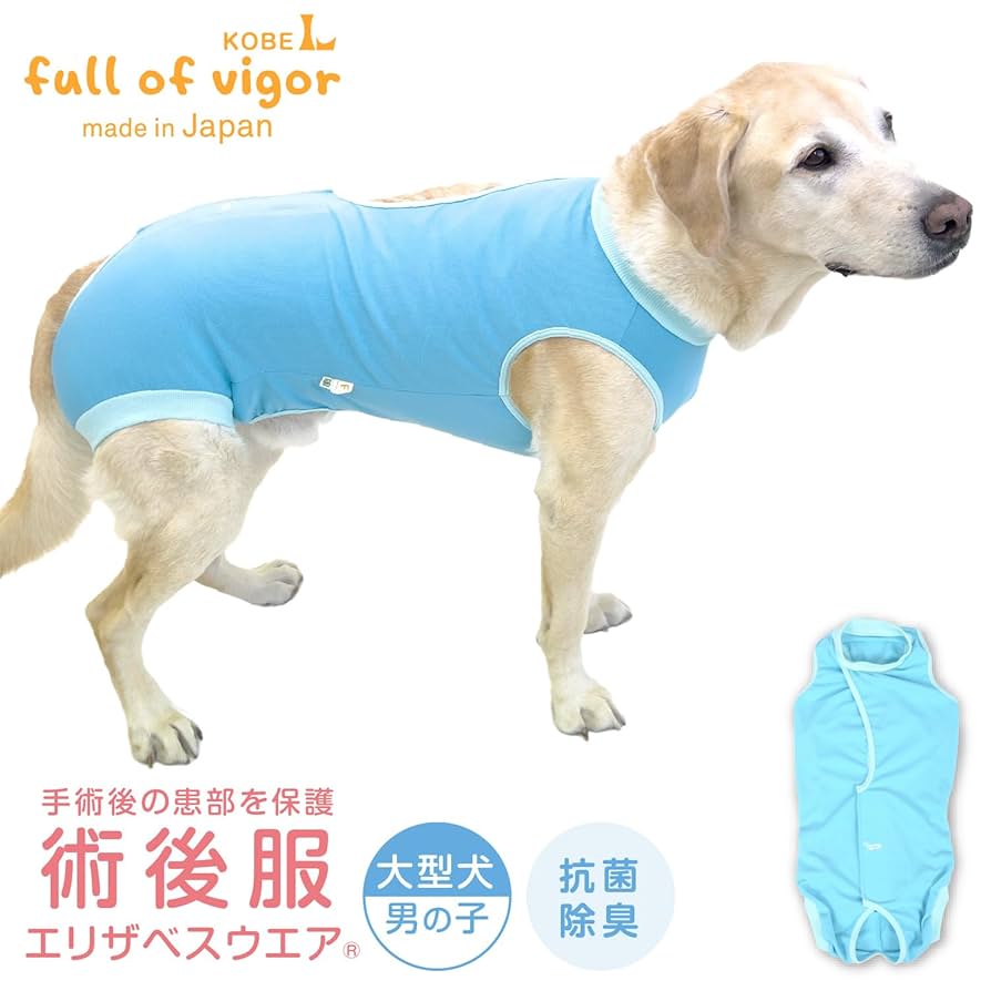 術後服 大型犬 女の子 2枚セット Amazon | 大型犬 女の子用 傷口舐め対策 術後服 エリザベス