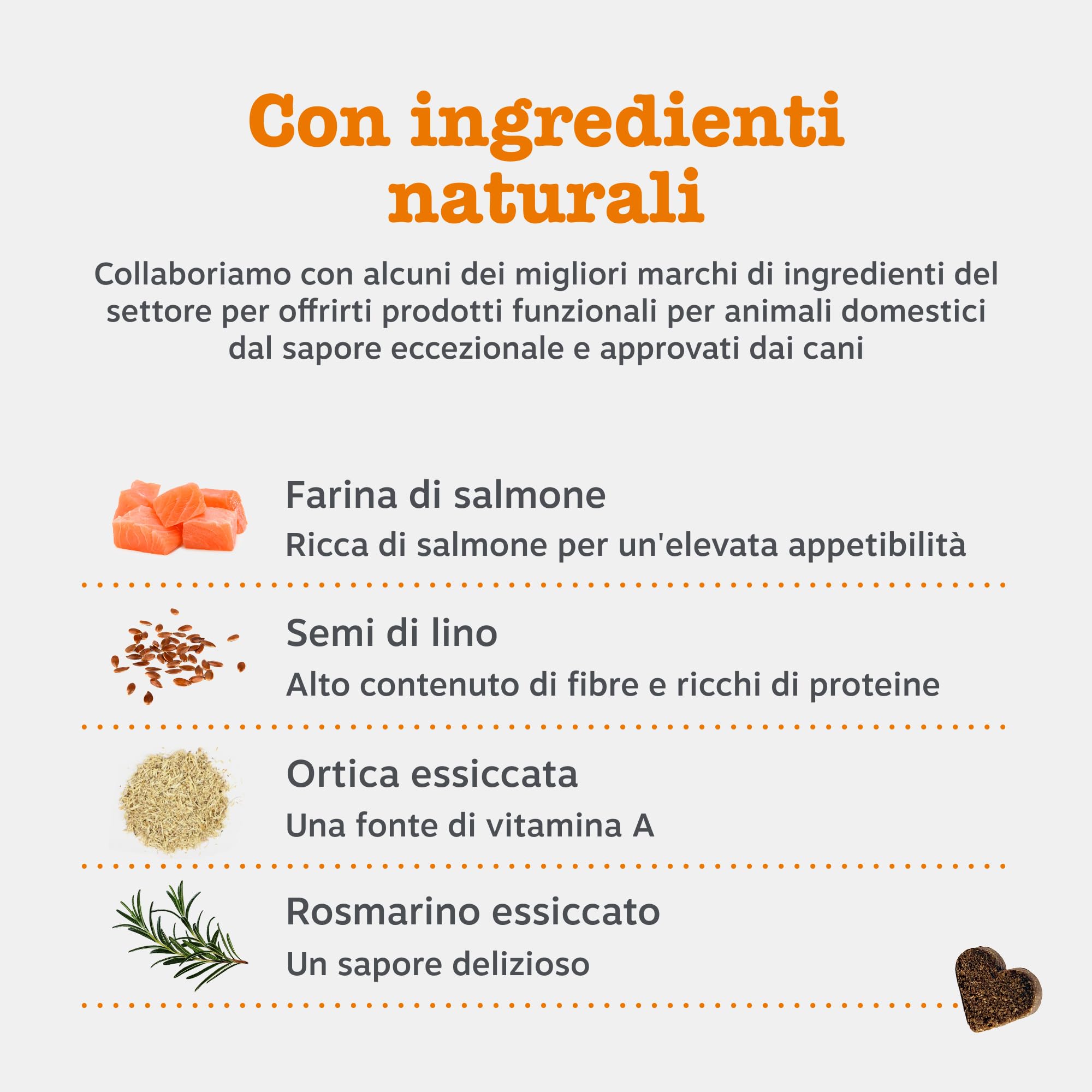 Zesty Paws Allergy & Immunity per Cani – Supporto Immunitario, Salute dell' Intestino, Pelle e Pelo – Per fastidi della Pelle – Con Olio di Salmone e Probiotici per Cani – 90 Bocconcini