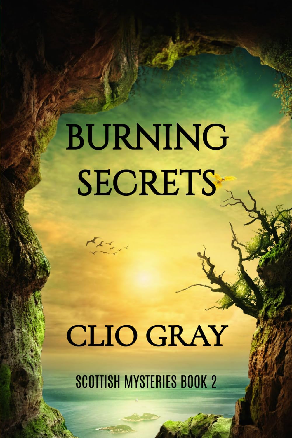 Burning Secrets: 2 (The Scottish Mysteries)