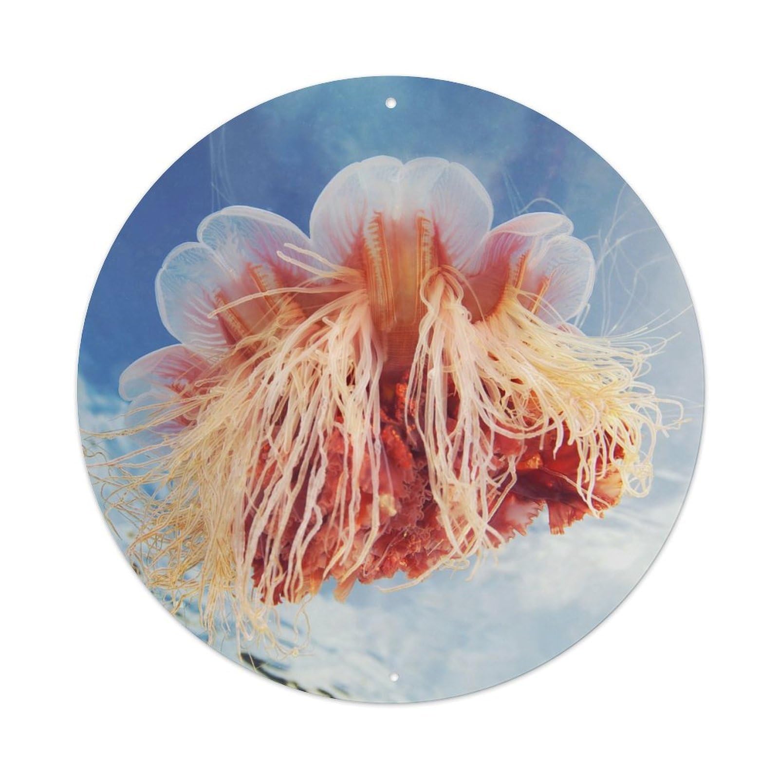 Animal Beautiful Kasumi Jellyfish Metal Tin Sign