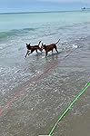 Review Image by Amazon Customer