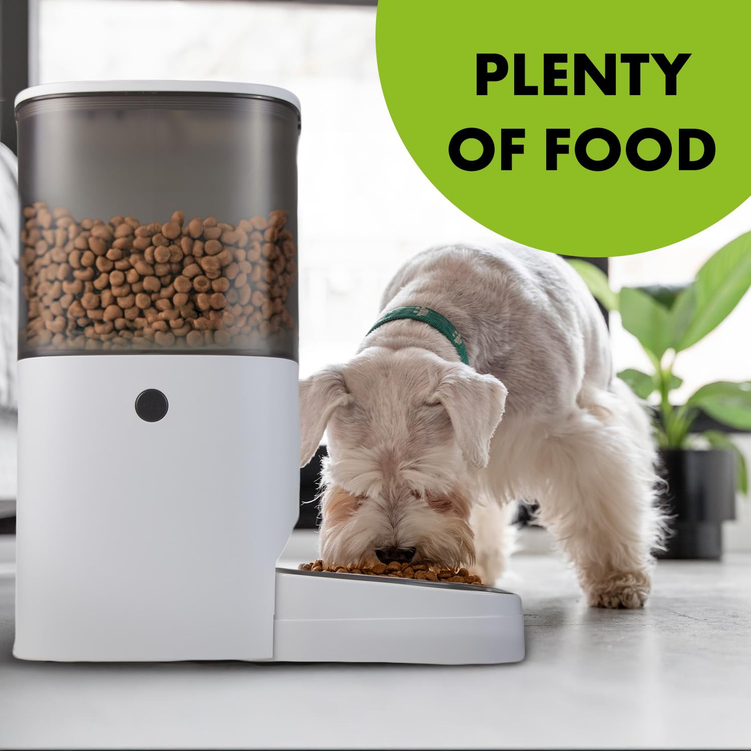 Green Blue Automatischer Futterspender für Haustiere 6 Liter | bis zu 8 Mahlzeiten pro Tag programmierbar | für Hunde/Katzen LCD Display Batteriebetrieb oder USB (Futterspender)