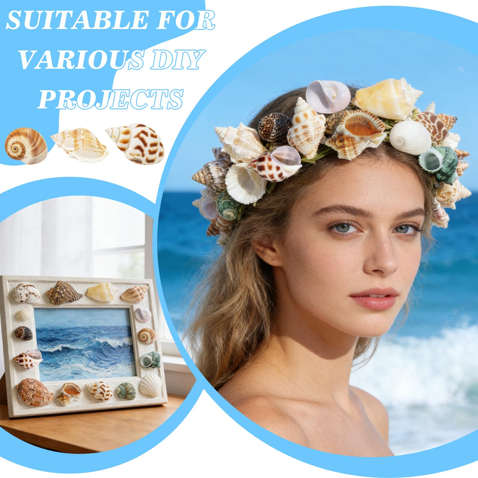 12 Pièces Coquillages Mixtes Coquillages Marins, 3-9 CM Deco Aquarium, Naturels Coquille Saint Jacques Vide, Pas Perforé Coquillage Decoration pour Sac de Fête DIY Lampe Coquillage Paillettes