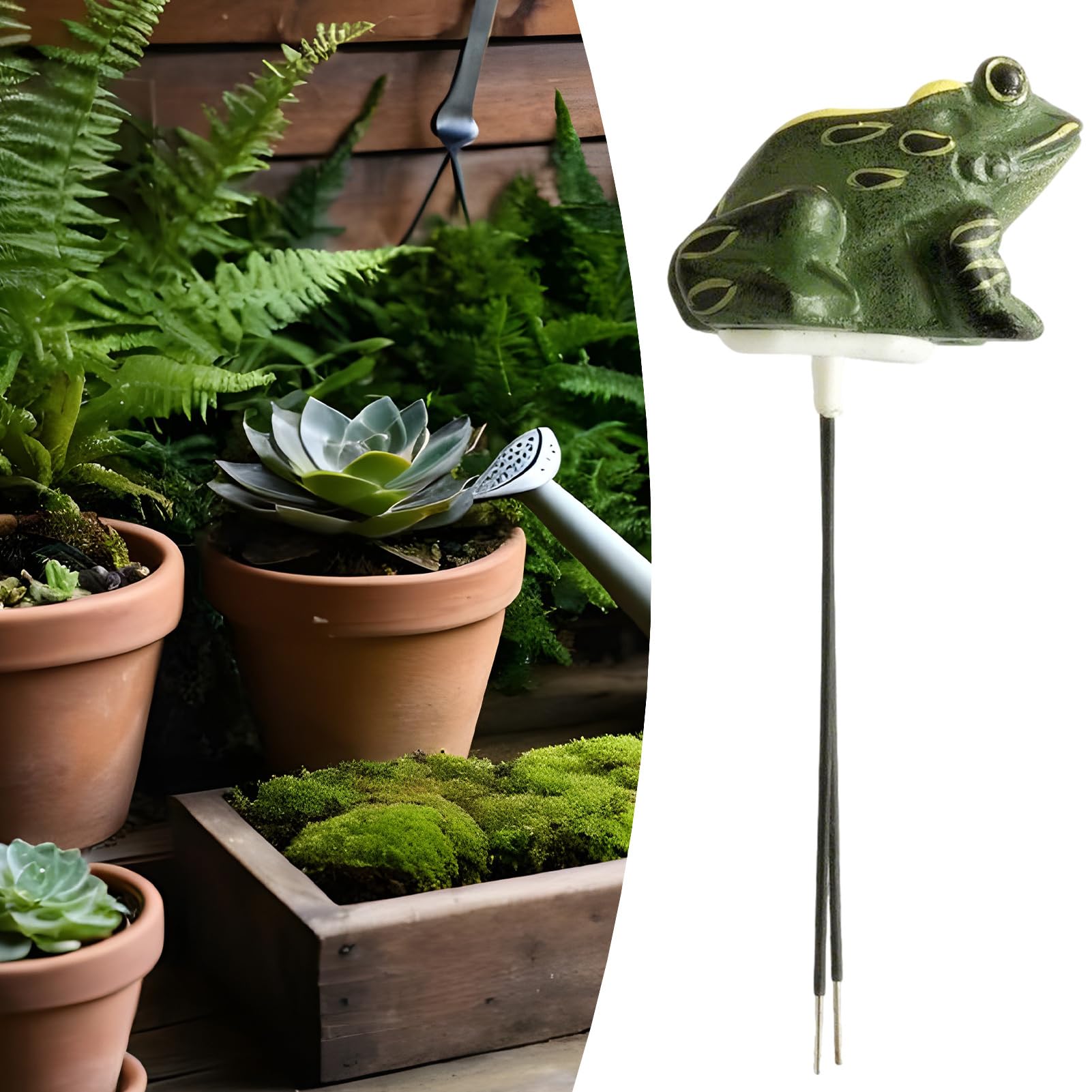 Testeur D'humidité Du Sol En Forme De Grenouille - Jardinage Intérieur/extérieur - Réutilisable
