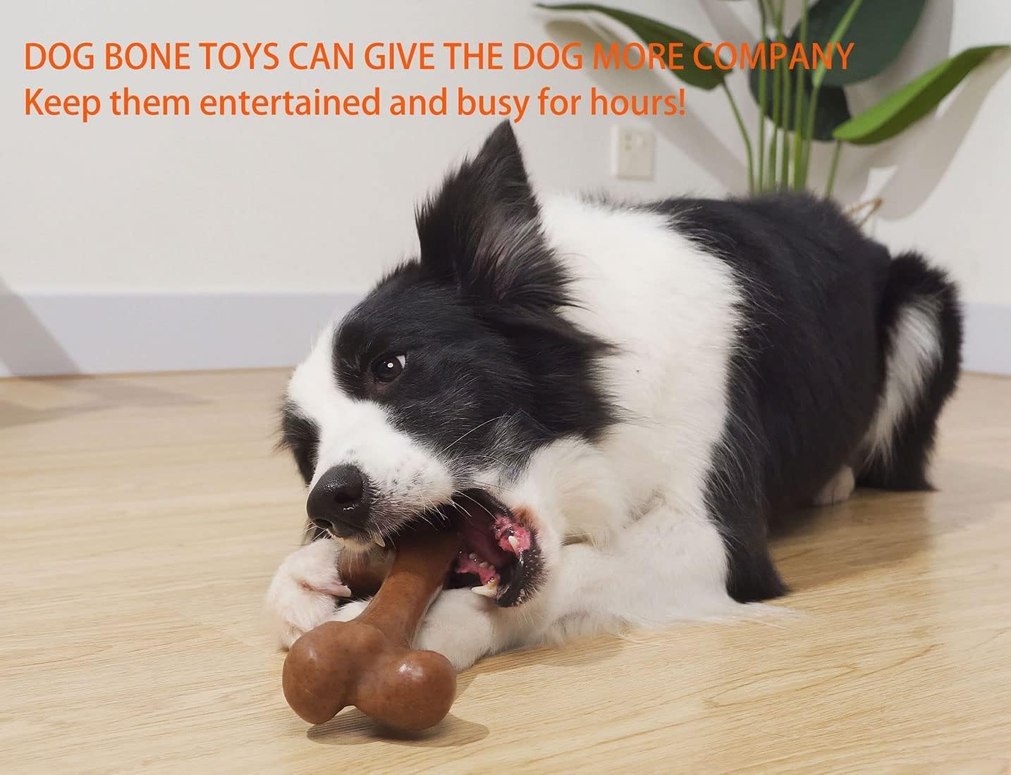 Pet Supplies : UXVA Dog Toys for Aggressive Chewers, Indestructible Nylon Bone Dogs Chew Toys, Durable Tough Puppy Teething Toys, Interactive Dog Toys for Medium Large Breed, Lifetime Replacement : 