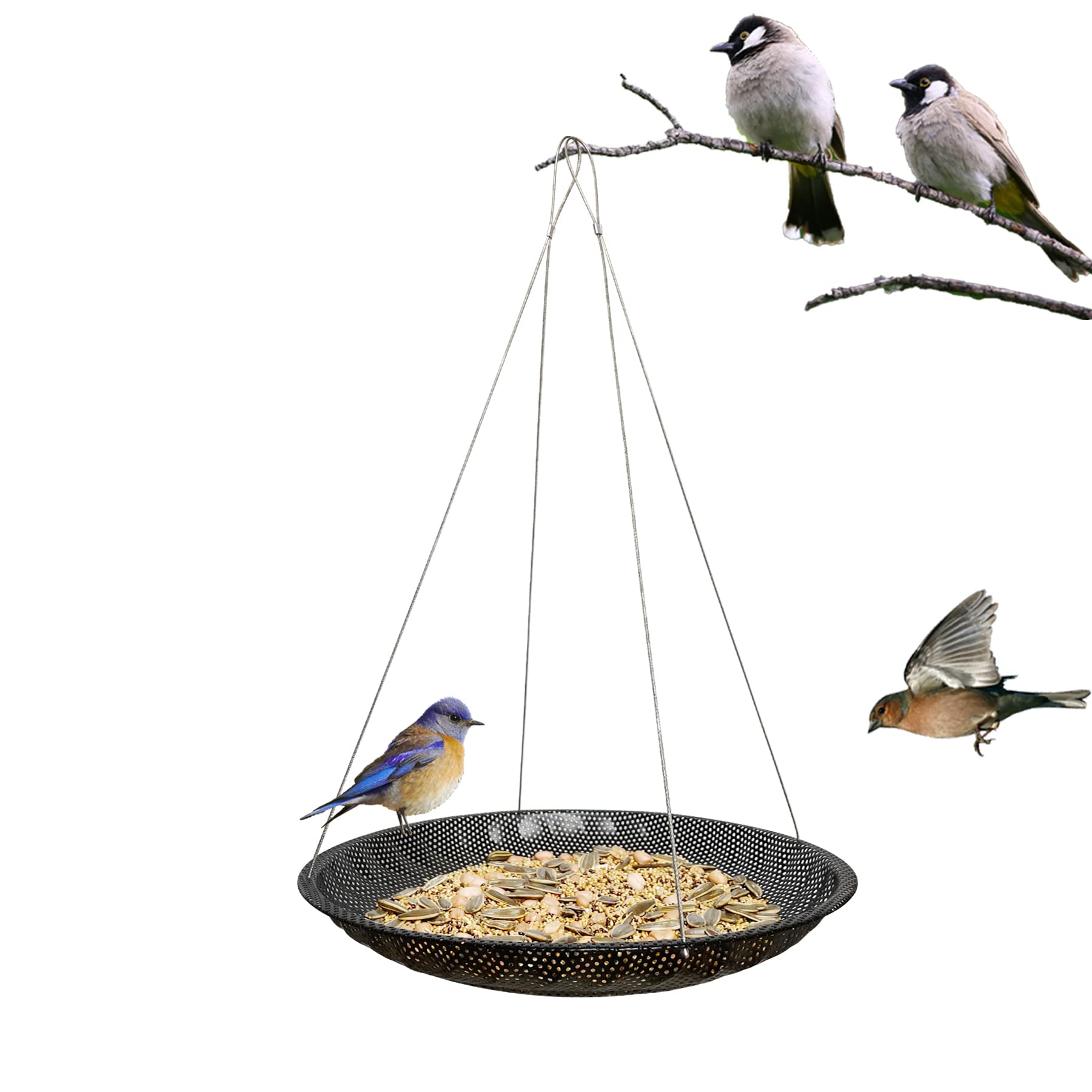 CQ-03 Premium Platform Bird Feeder Tray,11.8”Large Stainless Steel Hanging Bird Feeder Tray,Metal Mesh Seed Tray for Outside Wild Birds(1 Set) — image 1