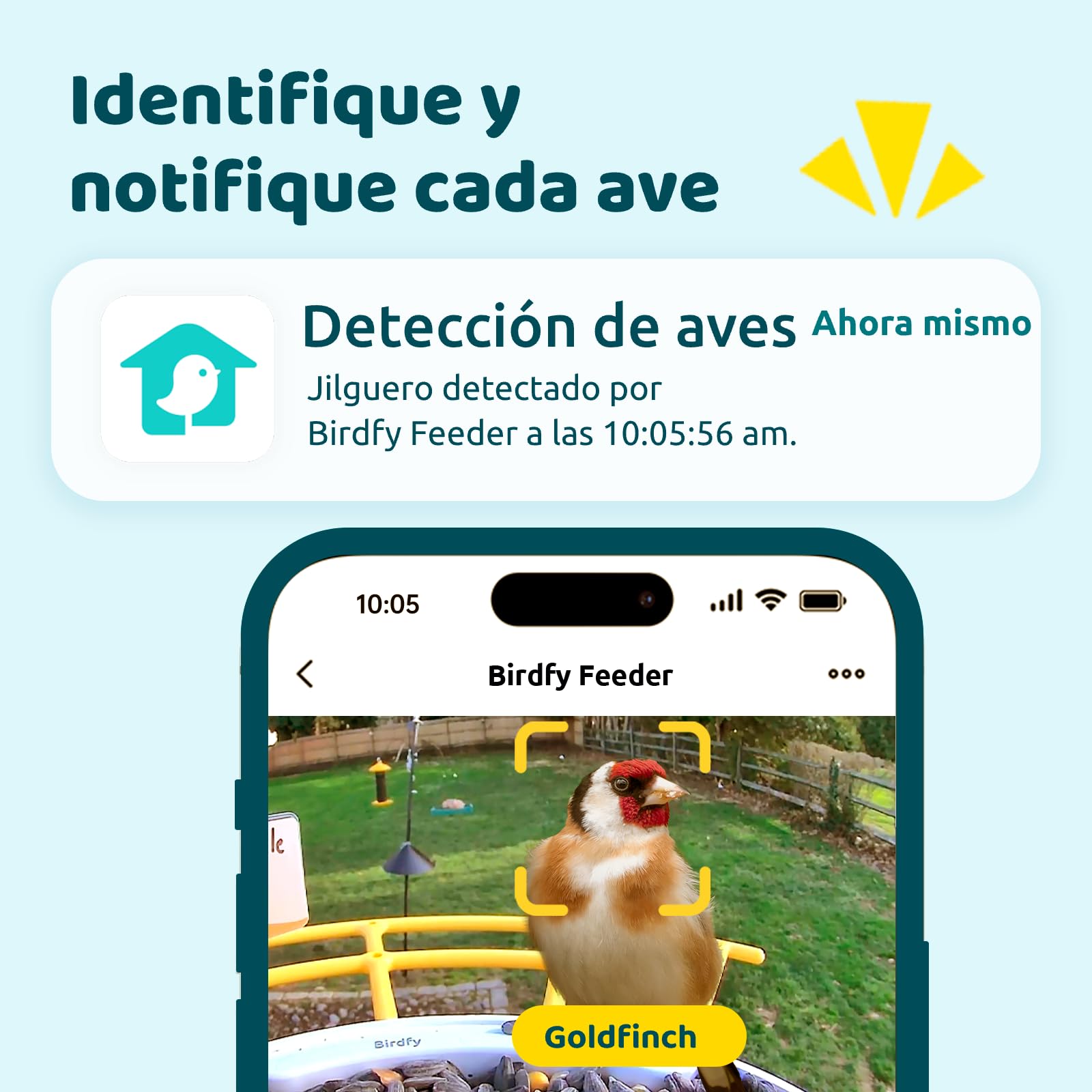 NETVUE Birdfy Pro Lite Vogelhaus mit Kamera, Vogelfutterstation mit Kamera & DIY Multifunktionsständer, Futterstationen für Wildvögel, Vogelfutterspender mit Meisenknödelhalter, Wasser/Gelee Feeder