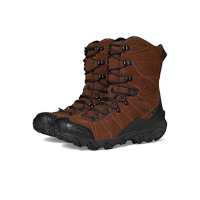 Oboz Bridger 10 Insulated B Dry Men