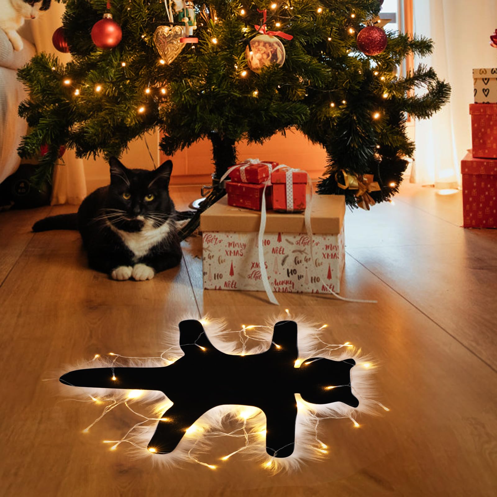 Amazon.com: WYEDJHF Light Up Fried Cat Rug, Funny Aunt Bethany's