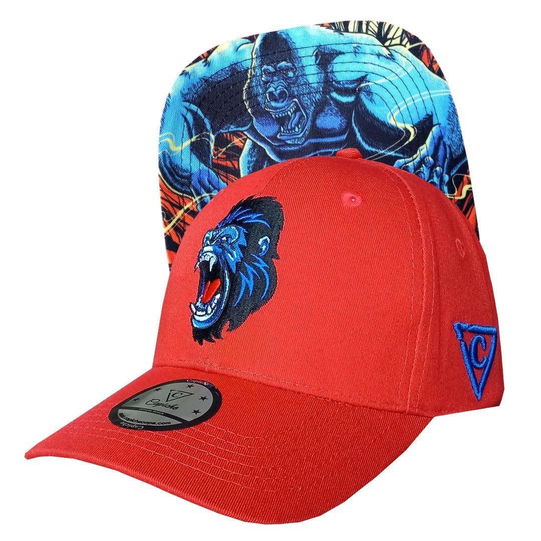 Capiche [99+ VARIACIONES] Gorra Snapback Nueva Colección Special Series Gris Oscuro — view 33