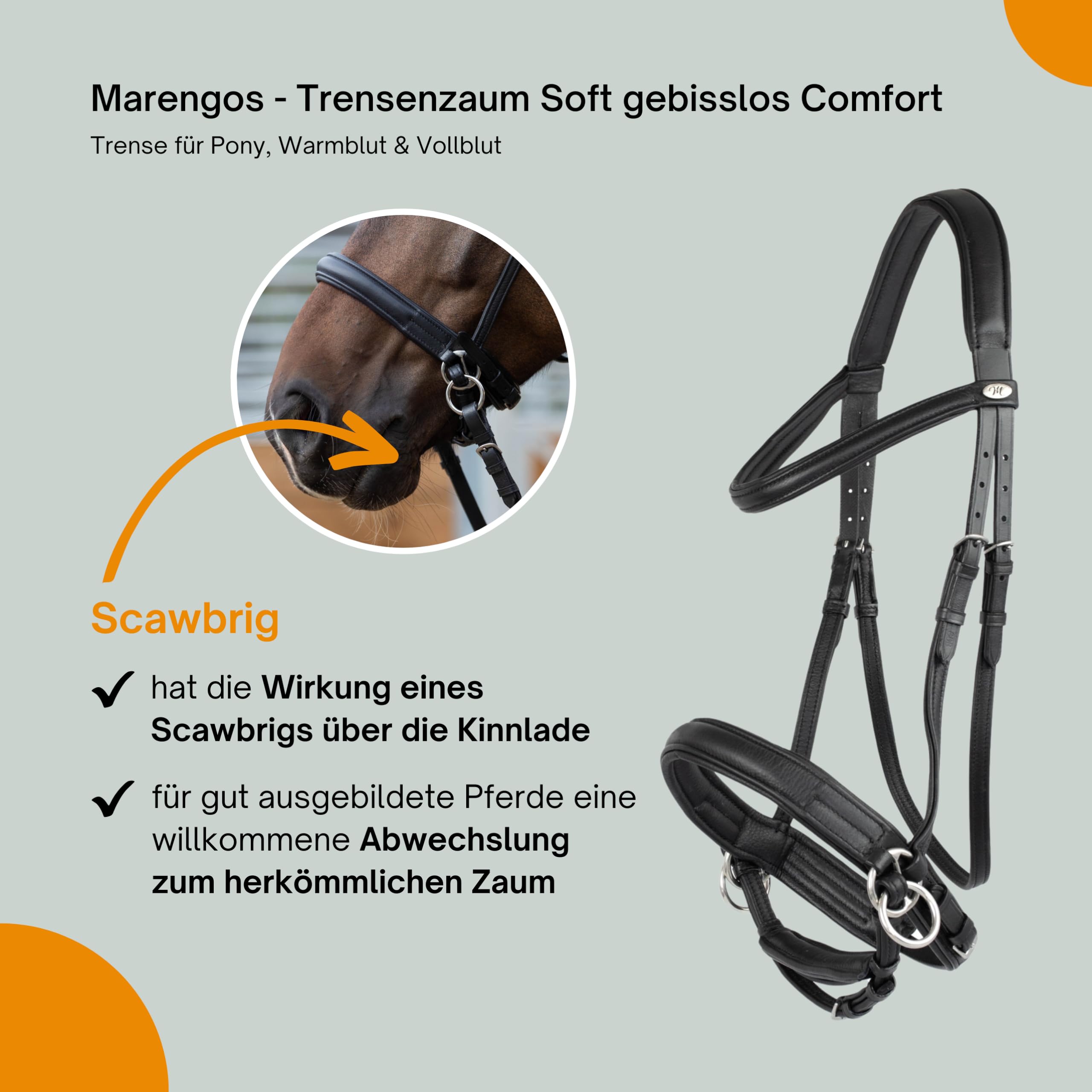 Marengos - Trensenzaum Soft gebisslos Comfort | Trense aus Leder & mit anatomisch geformtem Genickstück | Zaumzeug mit Zügel & Edelstahlbeschlägen | Größe Pony | Pferde Zubehör in schwarz | Trense aus Leder – anatomisch geformtes Genickstück – Zaumzeug mi