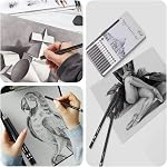 12pcs Set de crayons de dessin d'artiste professionnel, Graphite Dessin de crayons (14B 12B 10B 8B 6B 4B 2B B HB H 2H 4H) pour croquis, ombrage, illustration, dessin architectural & Beaux-arts