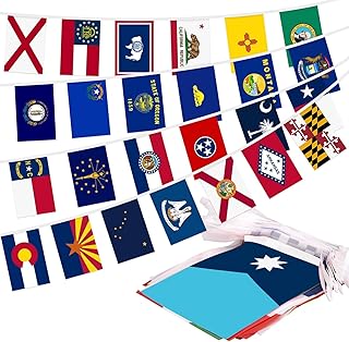 USA 50 States String Flags Banner for 250th Anniversary Decoration, 6x9 Inches Each, Double-Sided, 41 ft Long, Fade-Resistant, Vivid Colors, Indoor Outdoor Decor