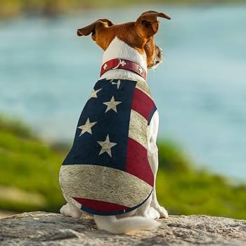 犬の服　国旗柄 121w07m_01.jpg