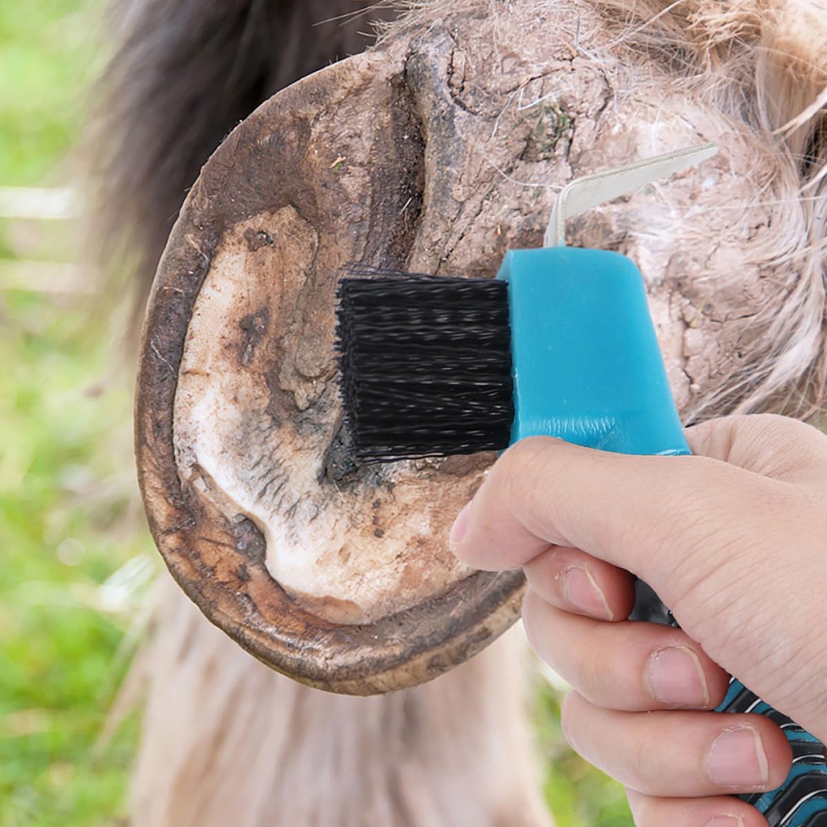 Horse Hoof Cleaning Brush with Hook, 2 Pack PP TPE Handle | Rust Resistant, Removes Mud, Comfortable Grip, Horse Hair Grooming, Portable Tool for Stable Use