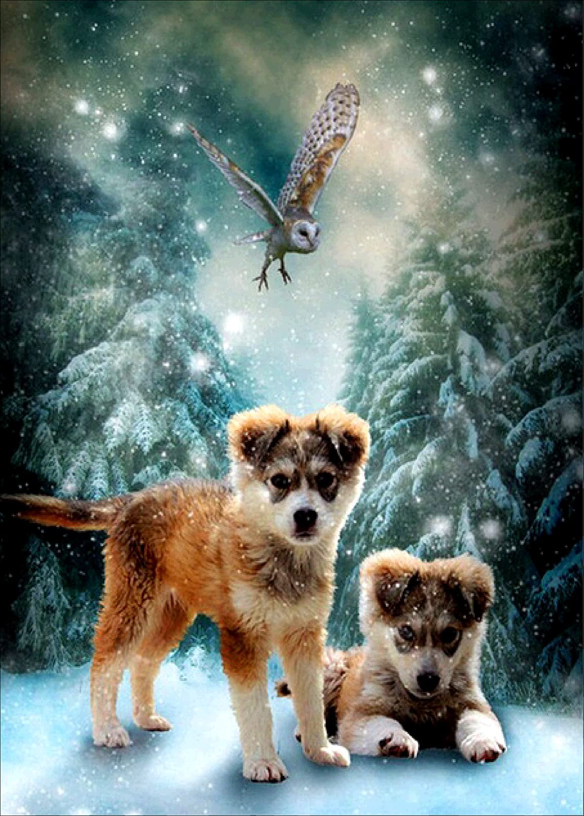 Amissz Diamond Painting Dog Kits for Adults Square Full Drill Paint with Diamond Art Scenery Kit DIY Pintura De Diamantes 15.7×11.8 inch (Blue)