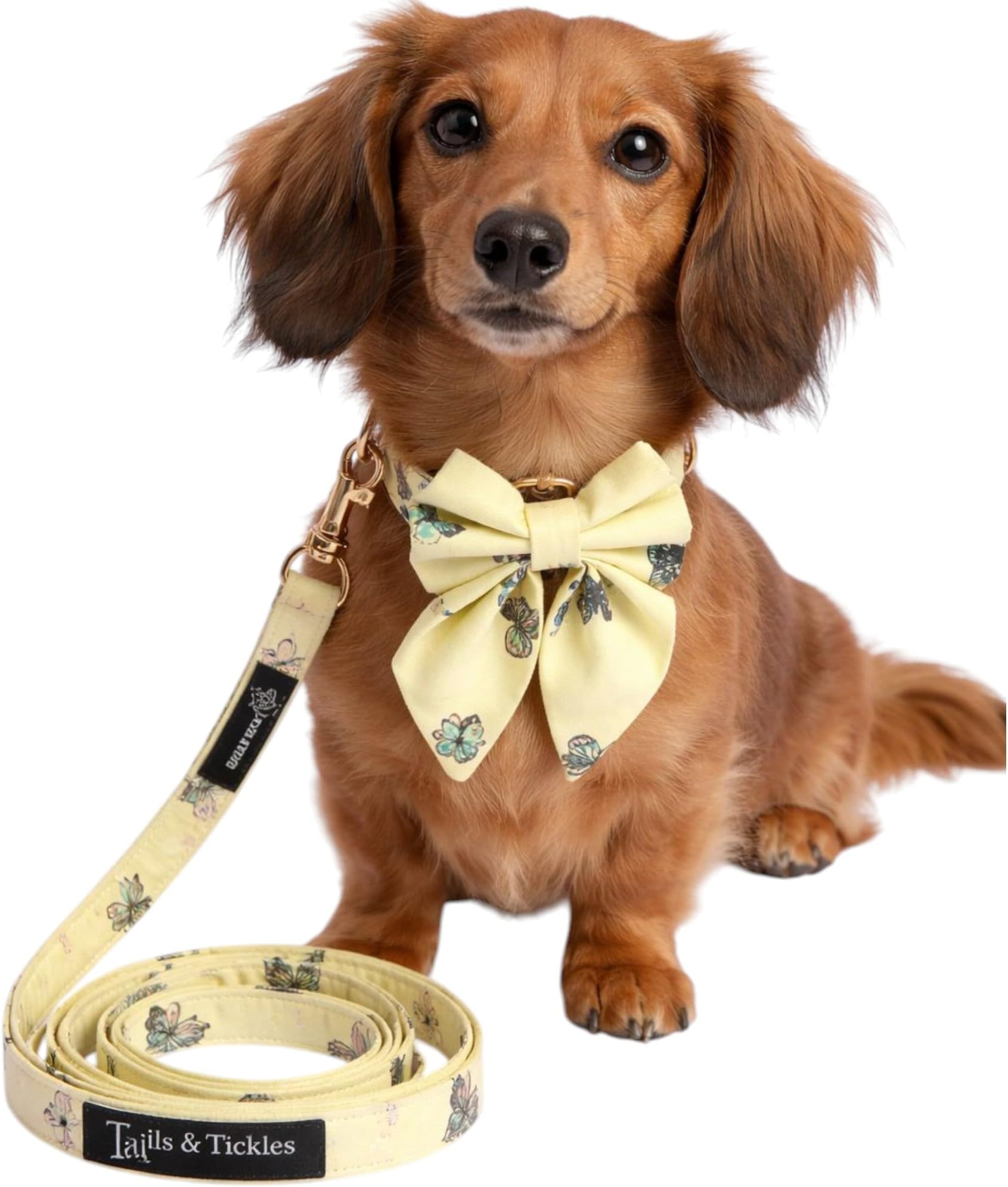 - Luxury Dog Collar, Leash & Bow Combo | Adjustable | Premium Gold Metal Hardware | Elegant, Pet-Friendly Material (Butterfly Bliss Collar+Leash+saliorbow, Medium)