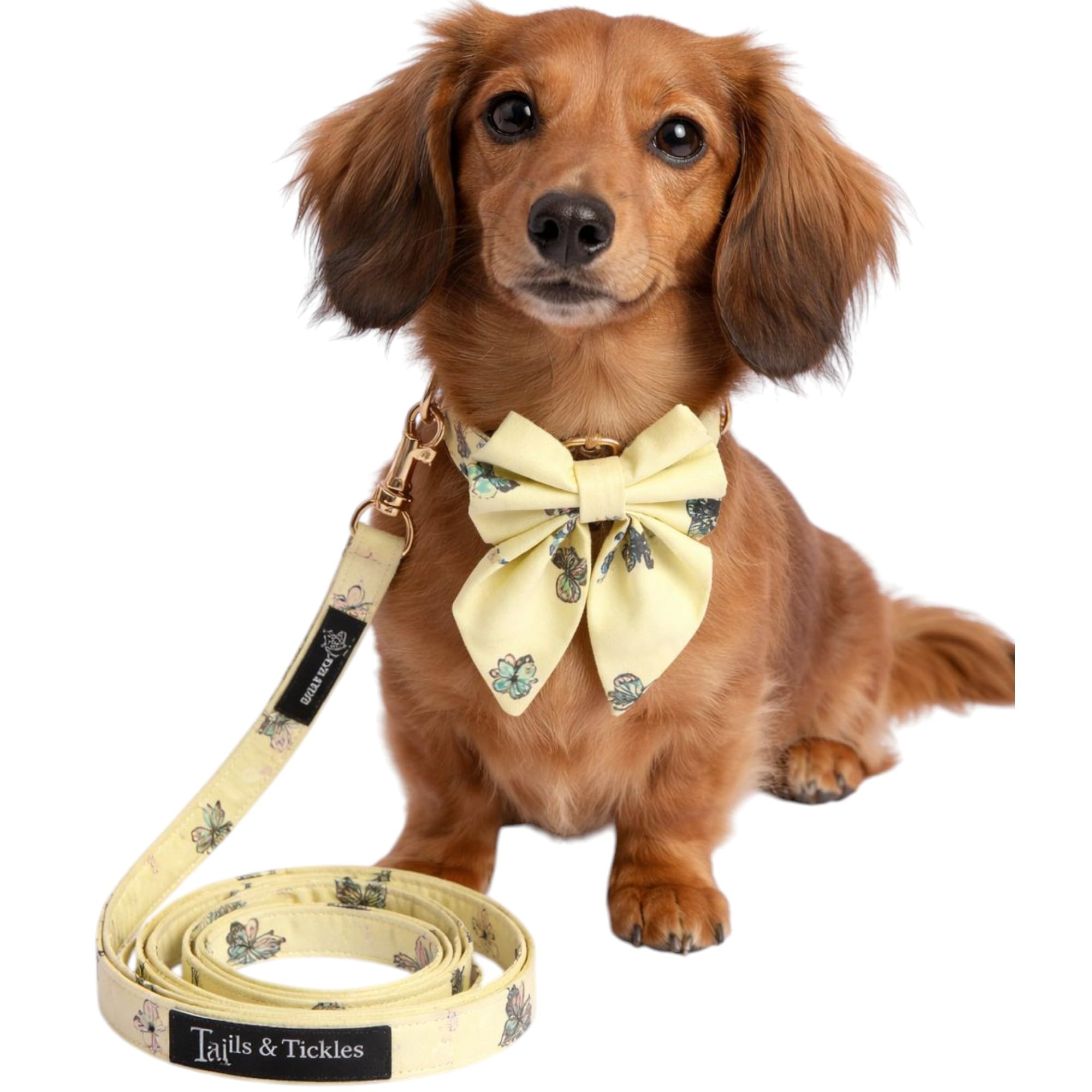 - Luxury Dog Collar, Leash & Bow Combo | Adjustable | Premium Gold Metal Hardware | Elegant, Pet-Friendly Material (Butterfly Bliss Collar+Leash+saliorbow, Medium)