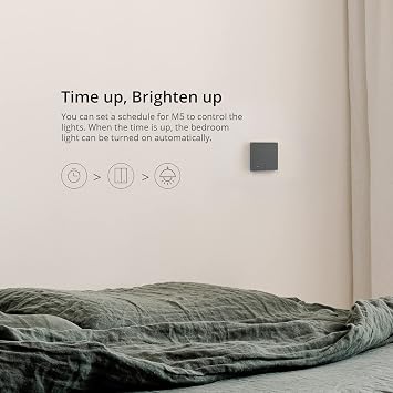 Sonoff M5-2c-80 Smart Wall Switch 2 Channels