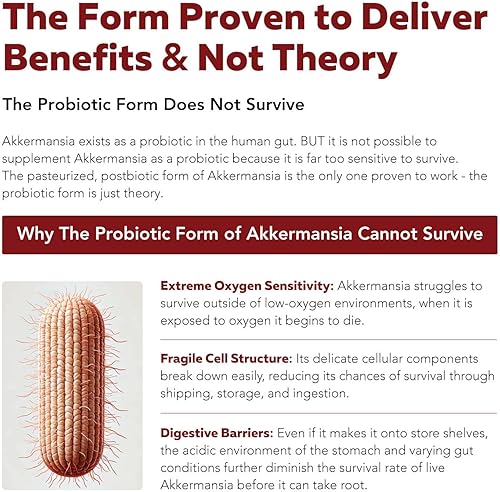 Miniatura 5 de AK-Postbio Akkermansia Probiotic 30 mil millones de TFU - Fuerza máxima, dosis clínicamente validada y cepa patentada - Forma pasteurizada superior,