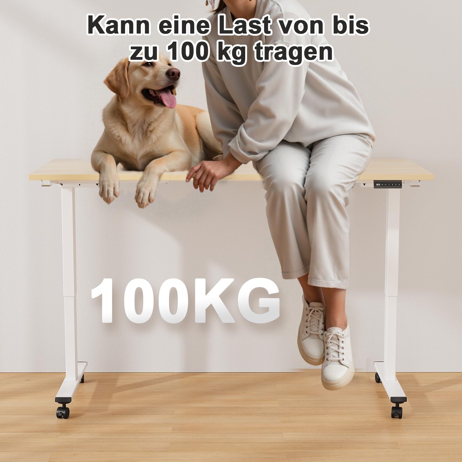 JUMMICO Höhenverstellbarer Schreibtisch Gestell mit 2 Starken Motoren, 100KG Belastbarkeit,Schreibtischgestell Höhenverstellbar mit 3 Speicherplätze & Type-C Ladeanschluss für Büro & Homeoffice