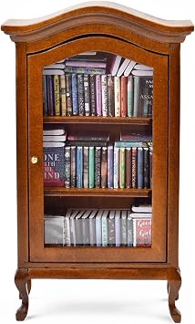 Anxiety Bookshelf, Anxiety Bookshelves, Mini Bookshelf