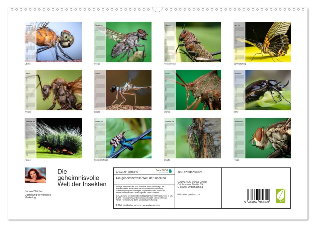 Die geheimnisvolle Welt der Insekten (hochwertiger Premium Wandkalender 2026 DIN A2 quer), Kunstdruck in Hochglanz: Faszinierende Nahaufnahmen von verschiedenen Insekten (CALVENDO Tiere)
