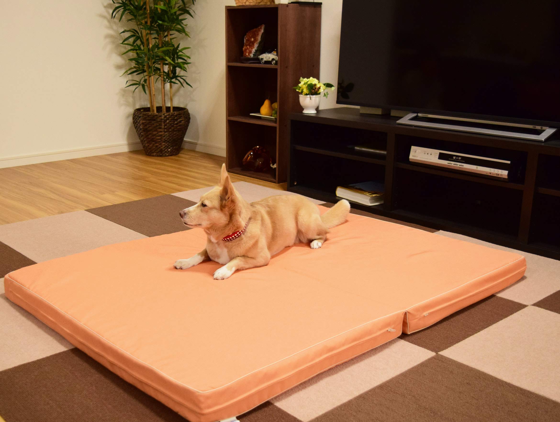 老犬用 体圧分散マット ペットケアマットNEO　Lサイズ オレンジ Amazon | 老犬用 ペットケアマットNEO/L (オレンジ) | 爽快潔リビング