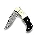 Buffalo Horn & Camel Bone 6.5'' Handmade Damascus Steel Folding Pocket Knife, Hunting Knife, Outdoor Survival Hunting Accessories, Gifts for Men, Boyfriend, Dad, Father’s Day Gift, 100% Prime Quality