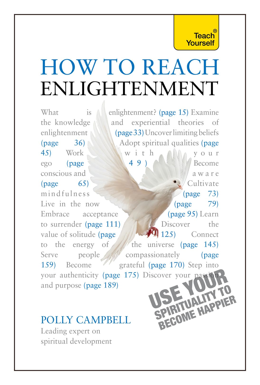 How to Reach Enlightenment: Use Your Spirituality to Become Happier (Teach Yourself: Philosophy & Religion)