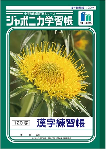 1 Caract Res 5 Livres Pack Showa Note Apprentissage Japonica Kanji Livre B5 Taille Exercice Livre Japon Importation Amazon Fr Fournitures De Bureau