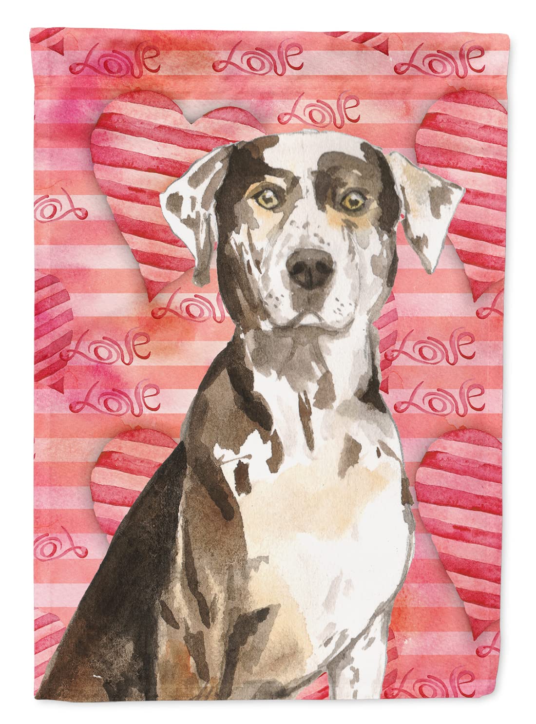 Drapeau Catahoula Leopard Dog, célébrez l'amour de votre chien avec cette toile unique
