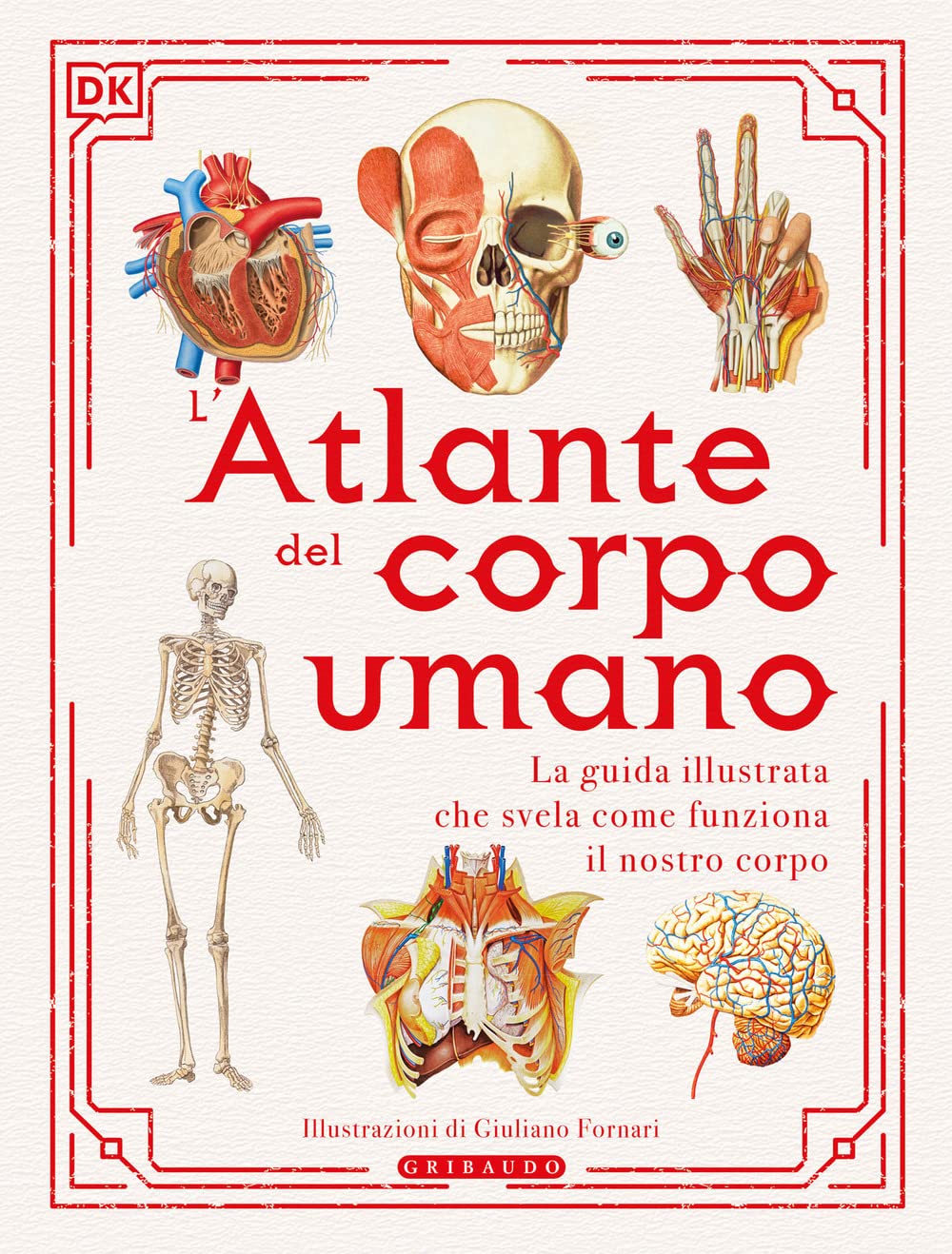 L'atlante Del Corpo Umano - 4