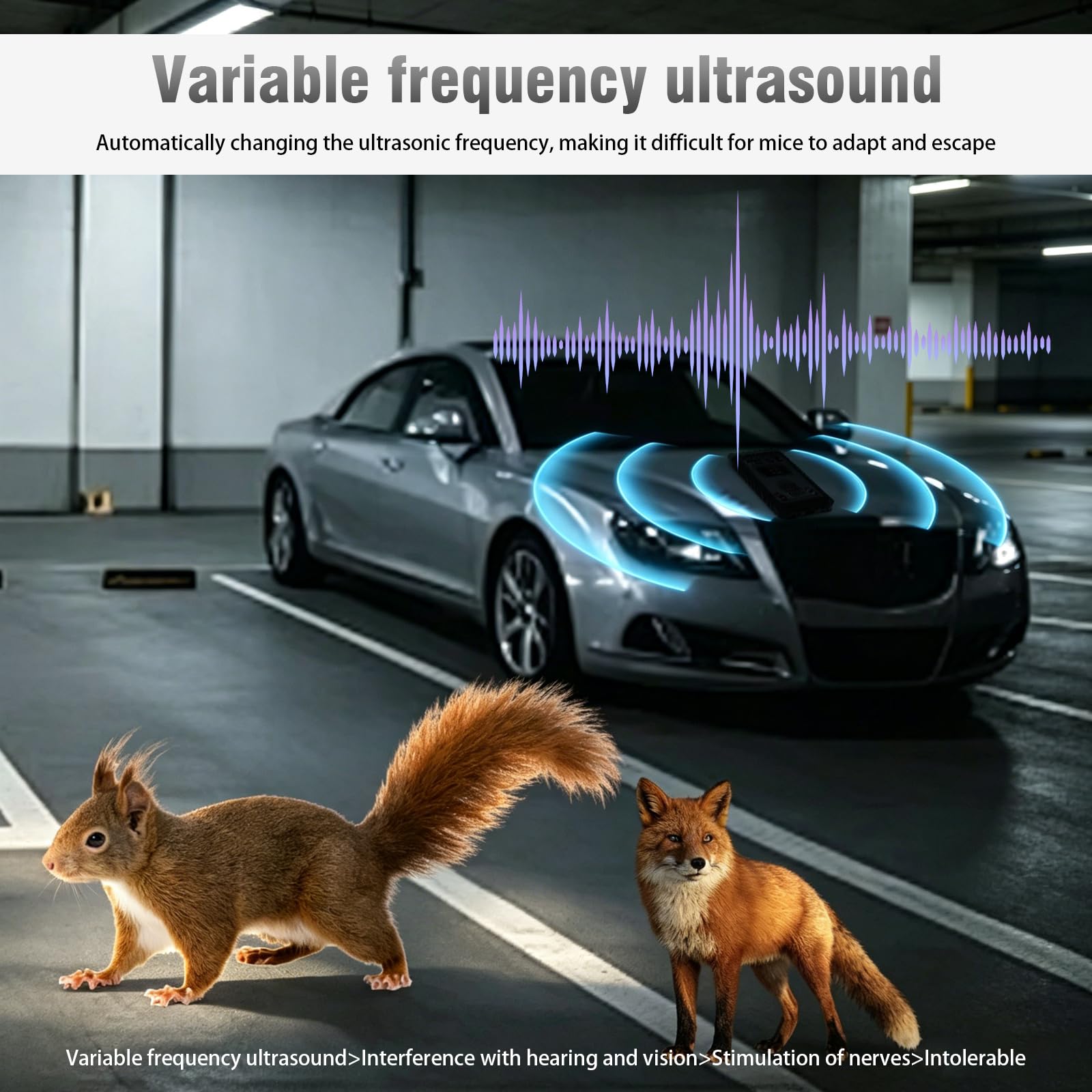 Marderschreck Auto, Ultraschall Marderabwehr, Betrieb mit 12v Autobatterie, USB Oder 3 Aa-Batterien, Intelligent Und Automatisch, Marderwarner für Auto, Gärten Und Dachböden(schwarz)